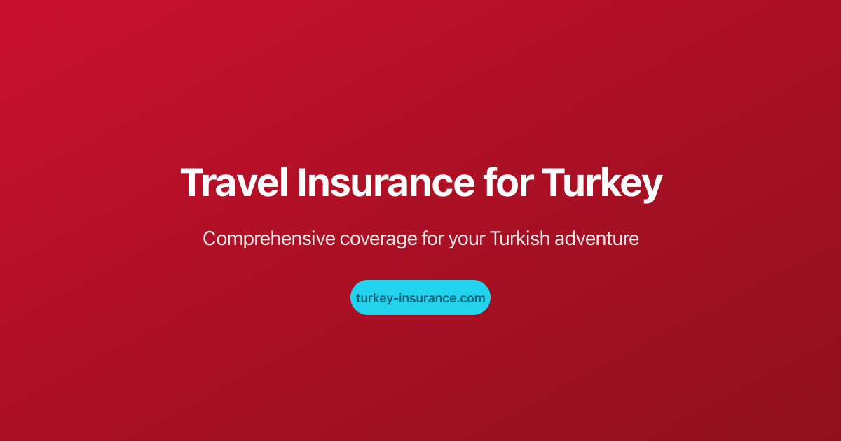 Turkish e-Visa Guide: Application, Cost & Insurance (tr)